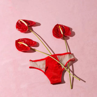 Pantys Australia: B-Certified, Carbon Neutral Period Underwear Backed by Clinical Testing